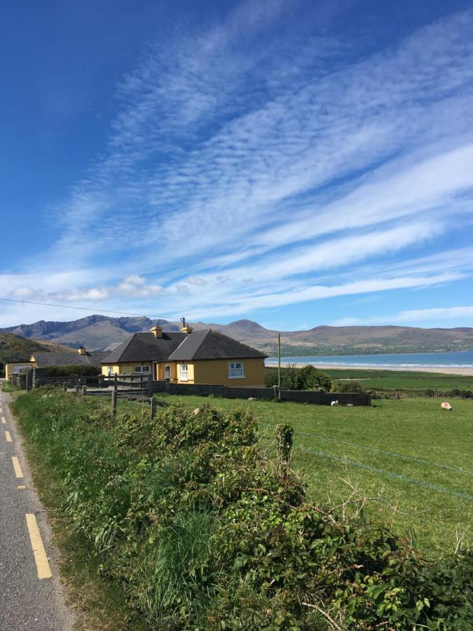 The Shores Country House Castlegregory Eksteriør bilde
